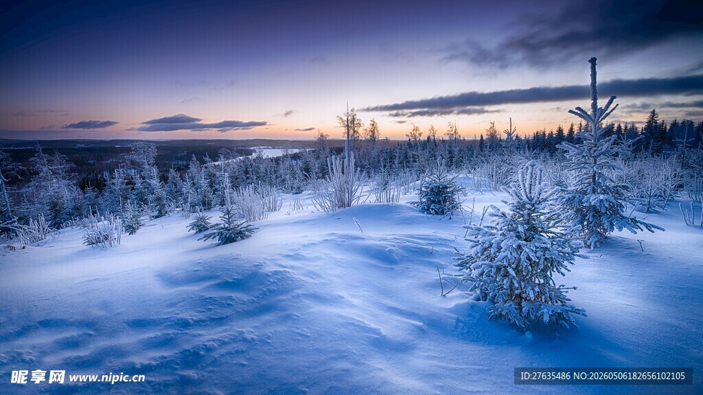 冬日雪地黄昏美景