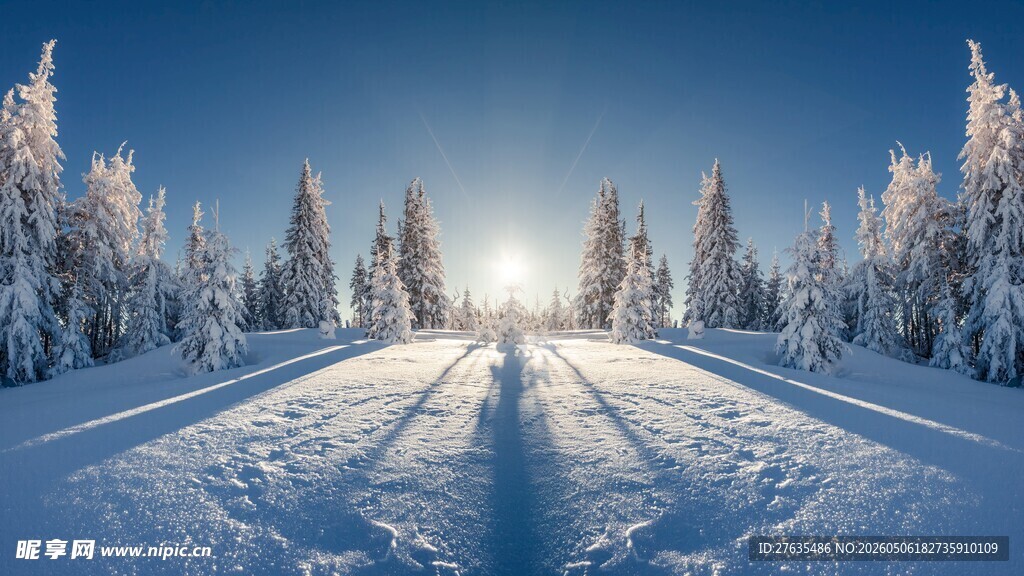 冬日雪景中的林间滑雪道