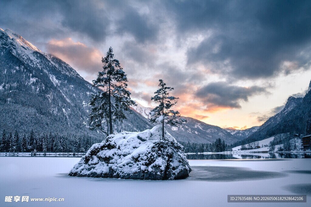 冬日雪境中的孤树美景