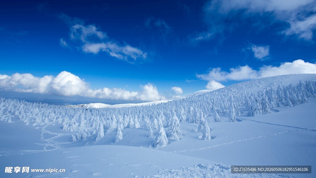 冬日雪景