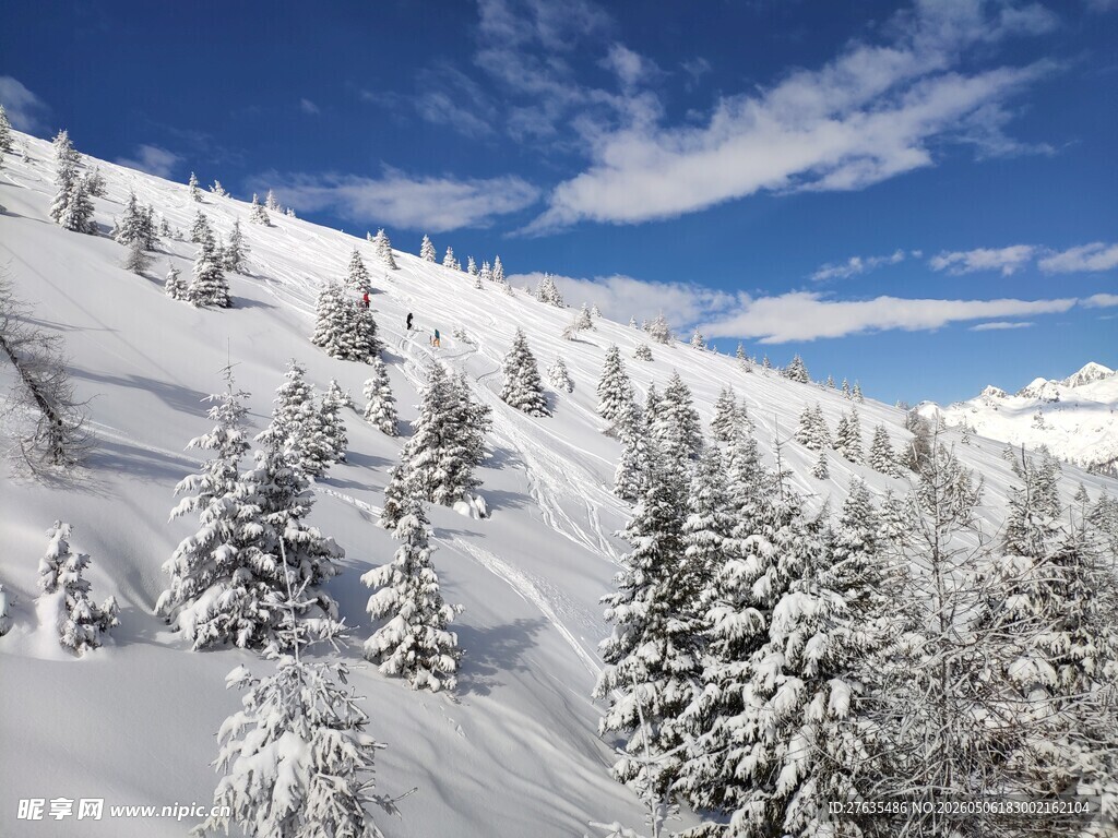 雪覆山林的冬日美景