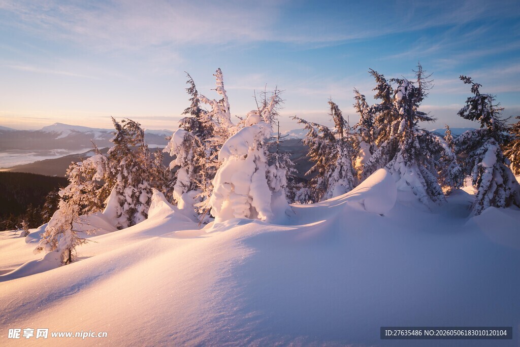 冬日雪覆山林美景