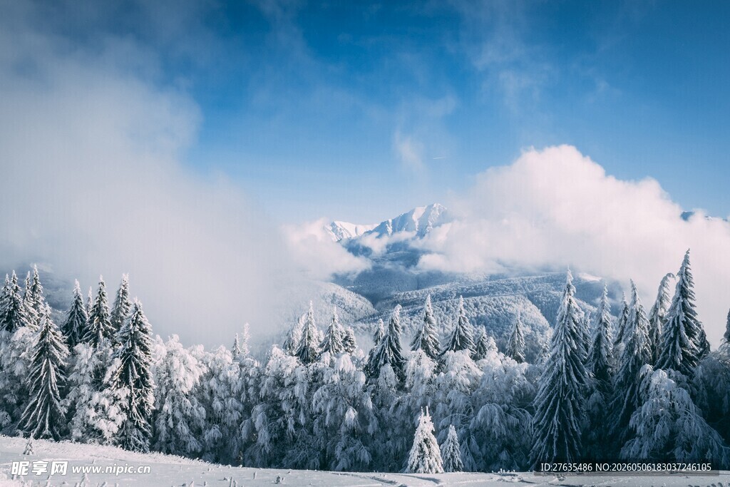 雪覆山林