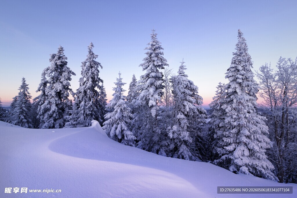 雪覆山林的冬日美景
