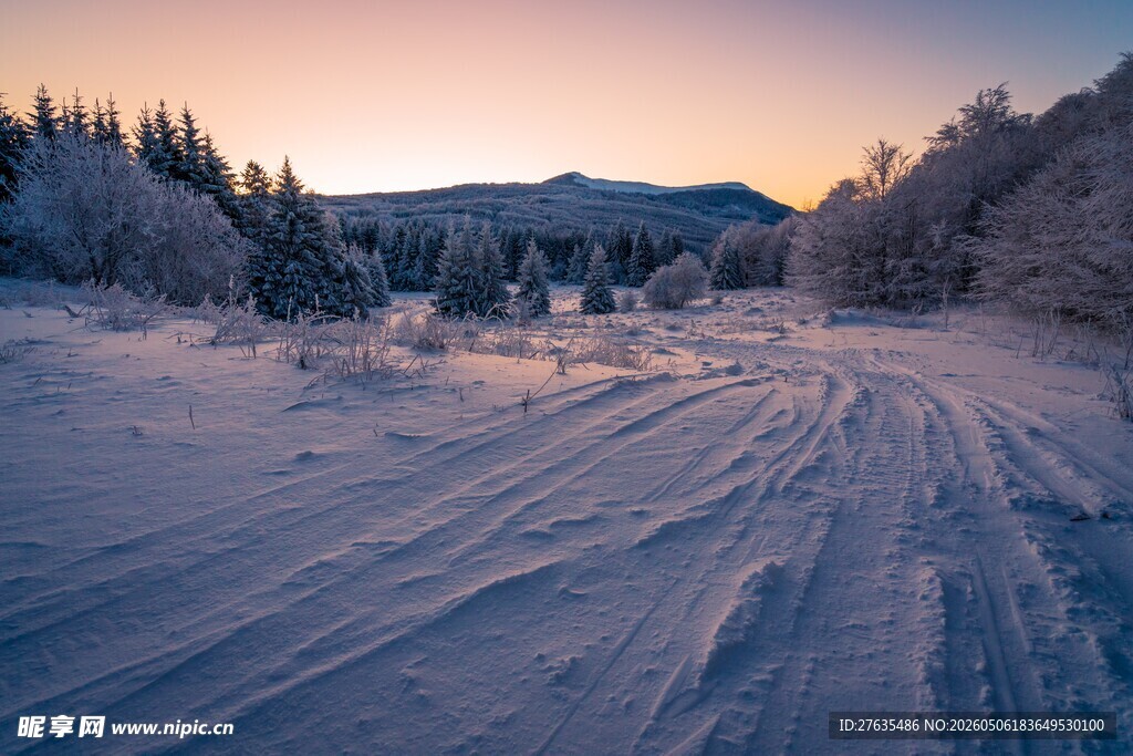 冬日雪路的静谧美景