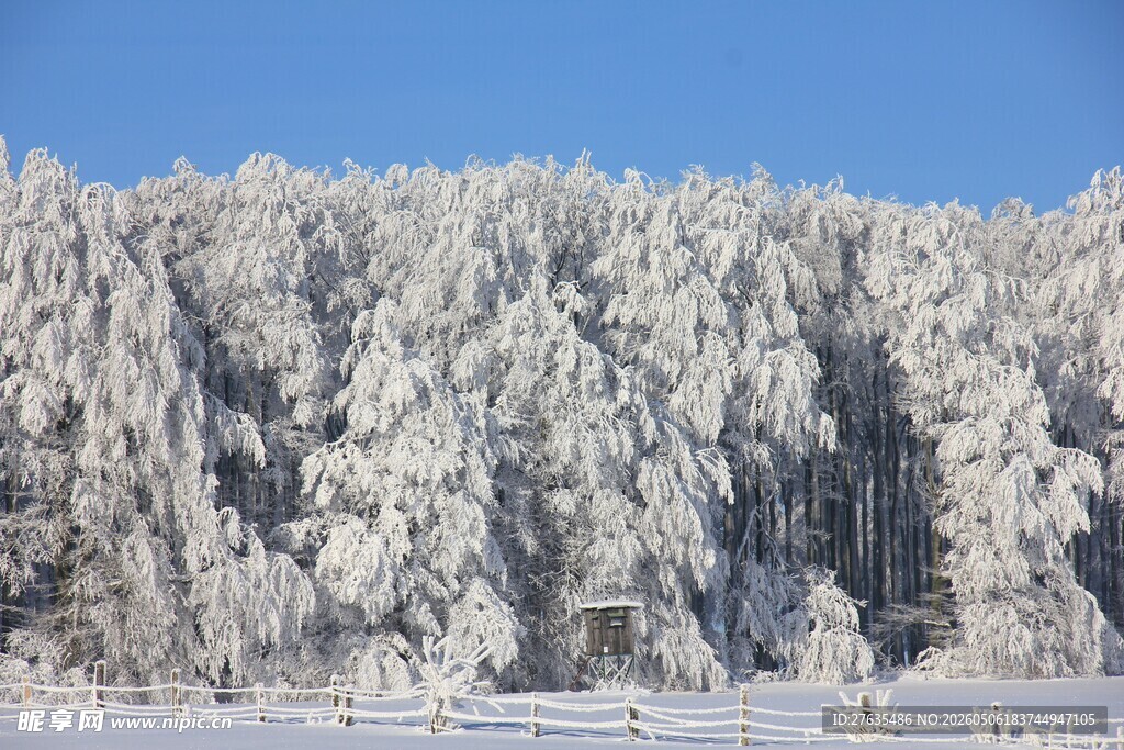 雪覆山林美景