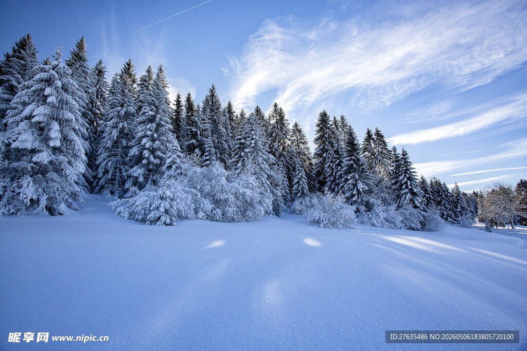 冬日雪林美景