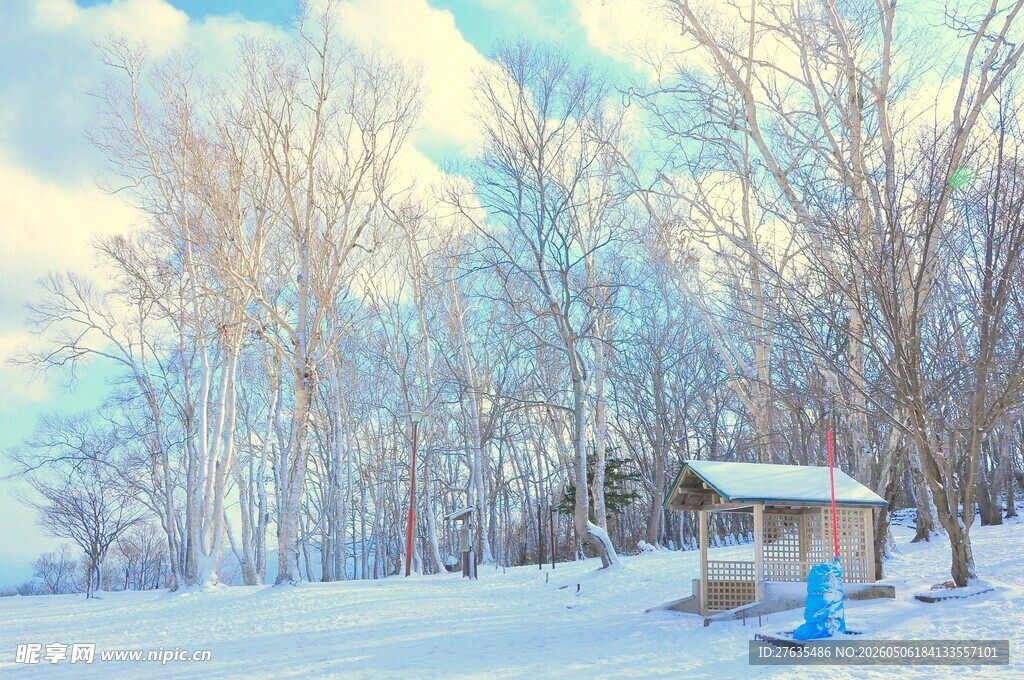 冬日雪林中小屋美景