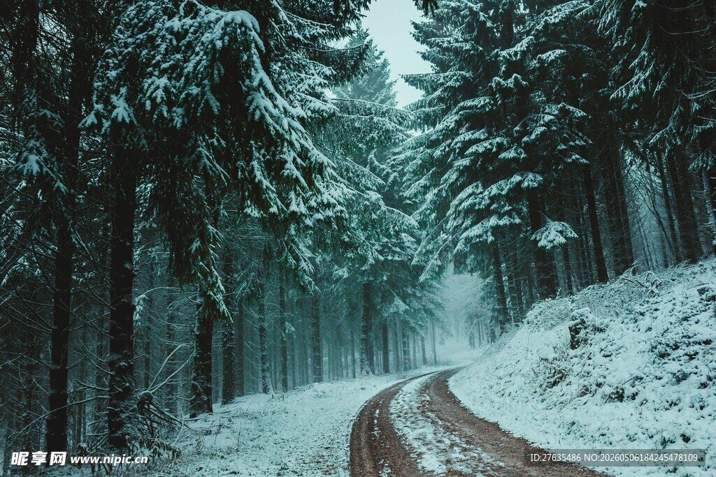 雪覆森林中的蜿蜒小路