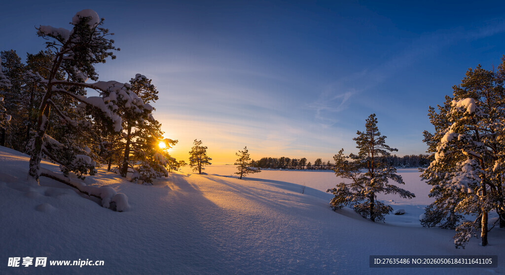 冬日雪林日落美景