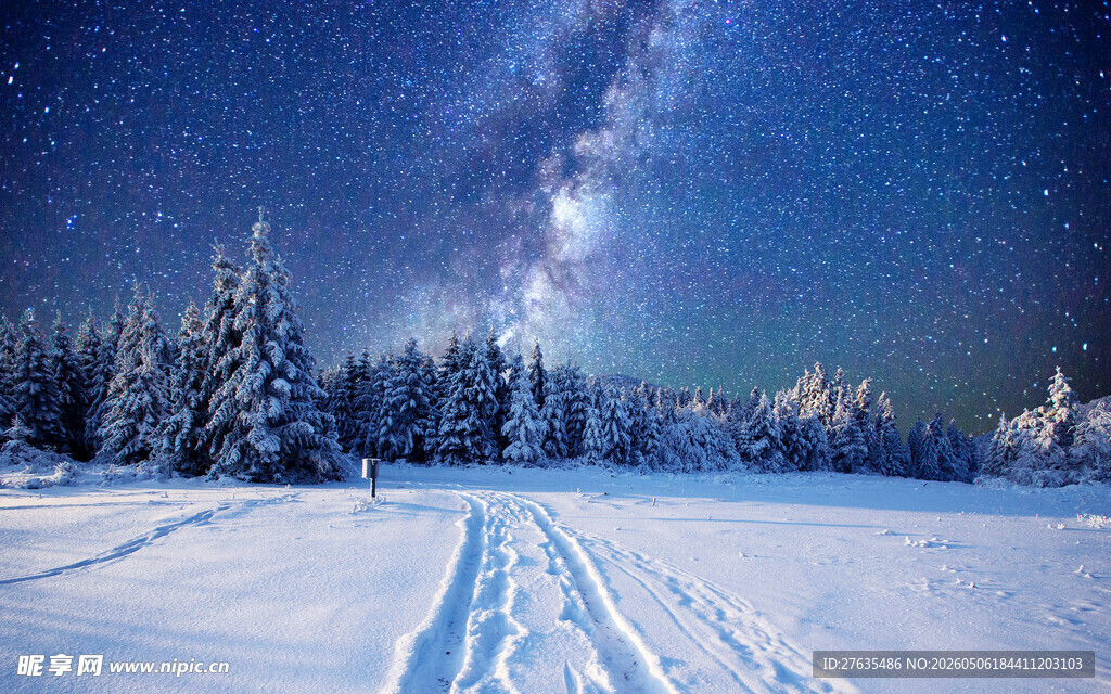 雪夜旷野中的静谧星空