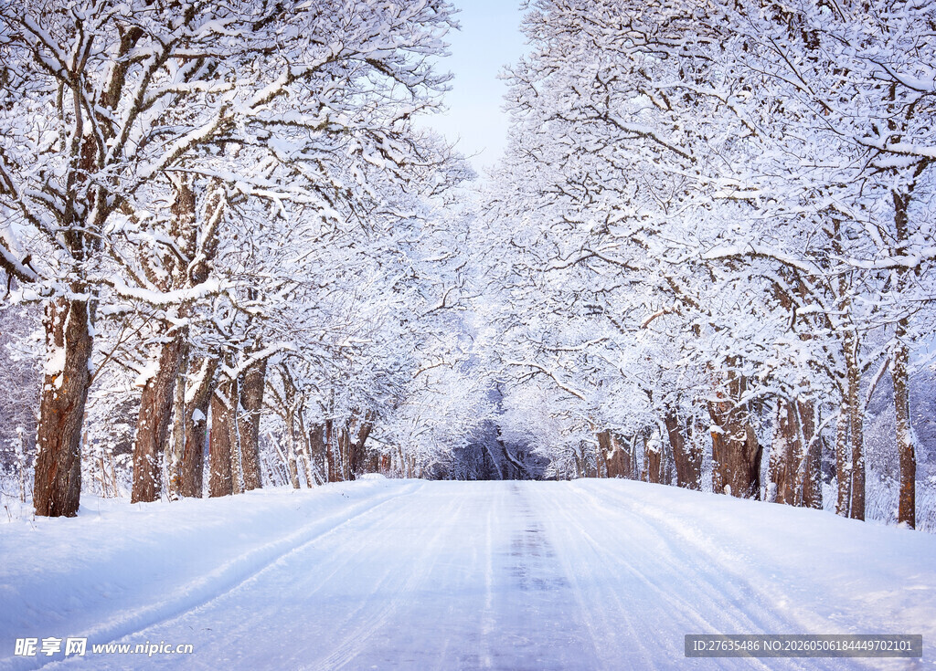 冬日雪覆林间道路美景