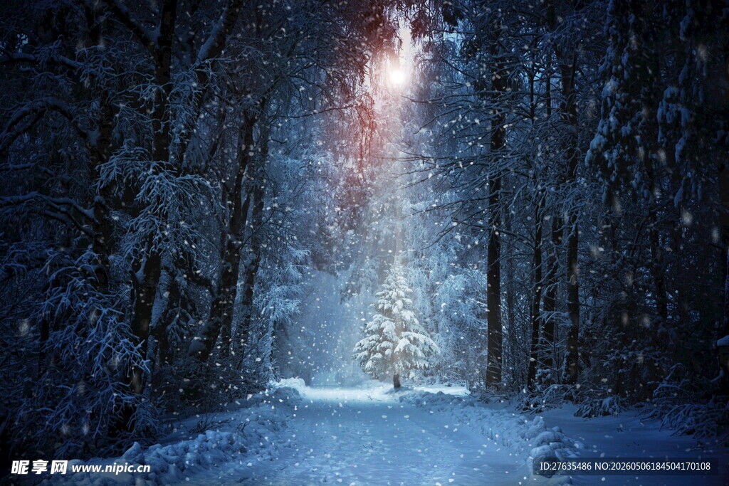 雪夜森林中的神秘光束