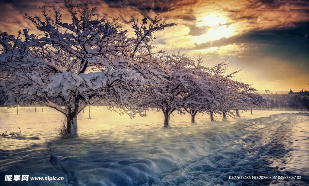 雪覆繁花的黄昏田园美景