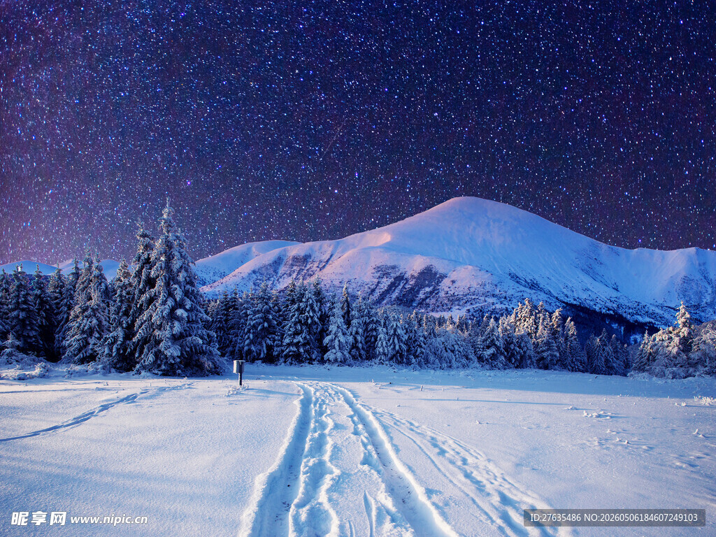雪夜山林中的滑雪轨迹