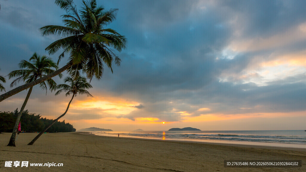 夕阳下的椰林海滩美景
