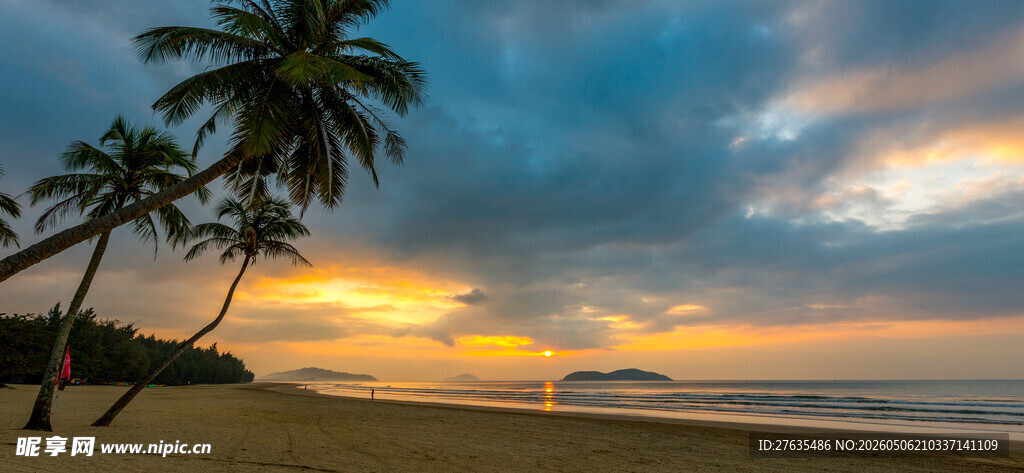 夕阳下的海边椰树美景
