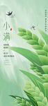 小满 二十四节气       