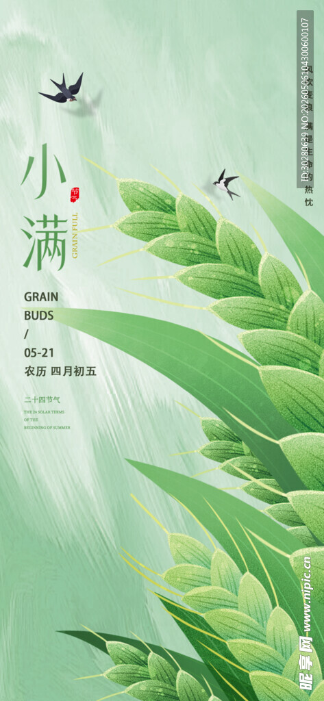 小满 二十四节气       