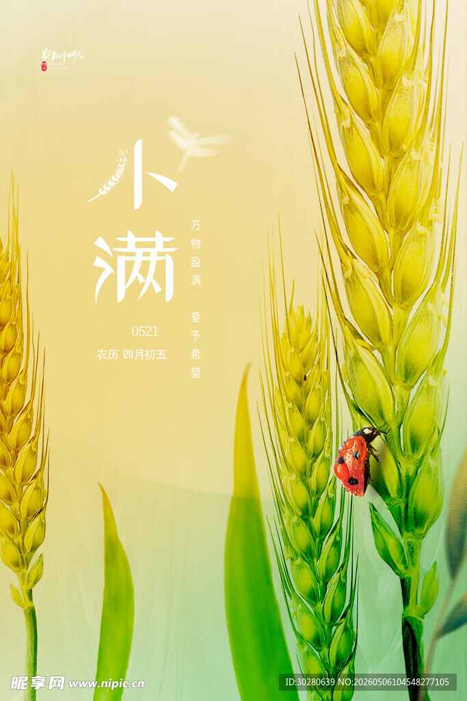 小满 二十四节气       