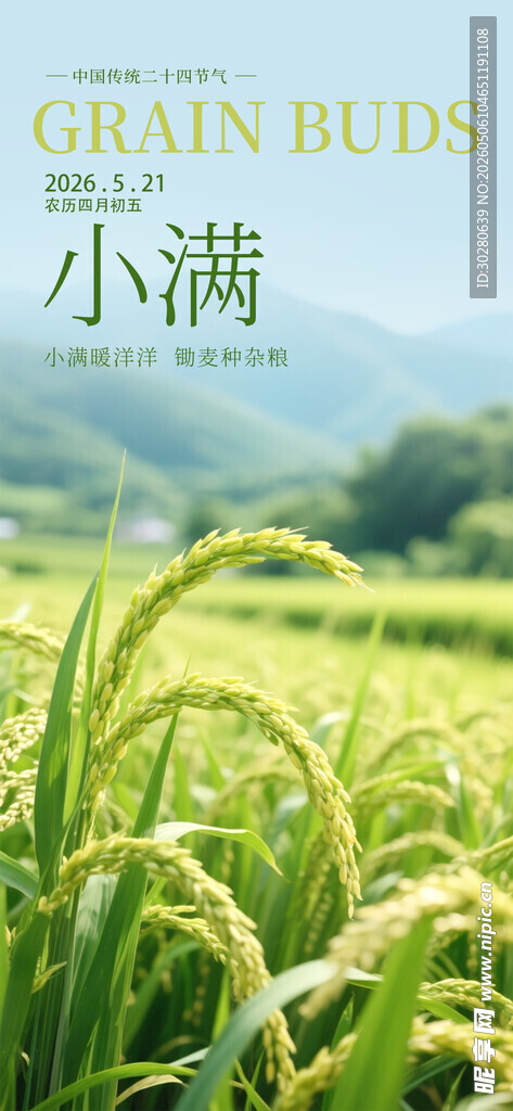 小满 二十四节气       