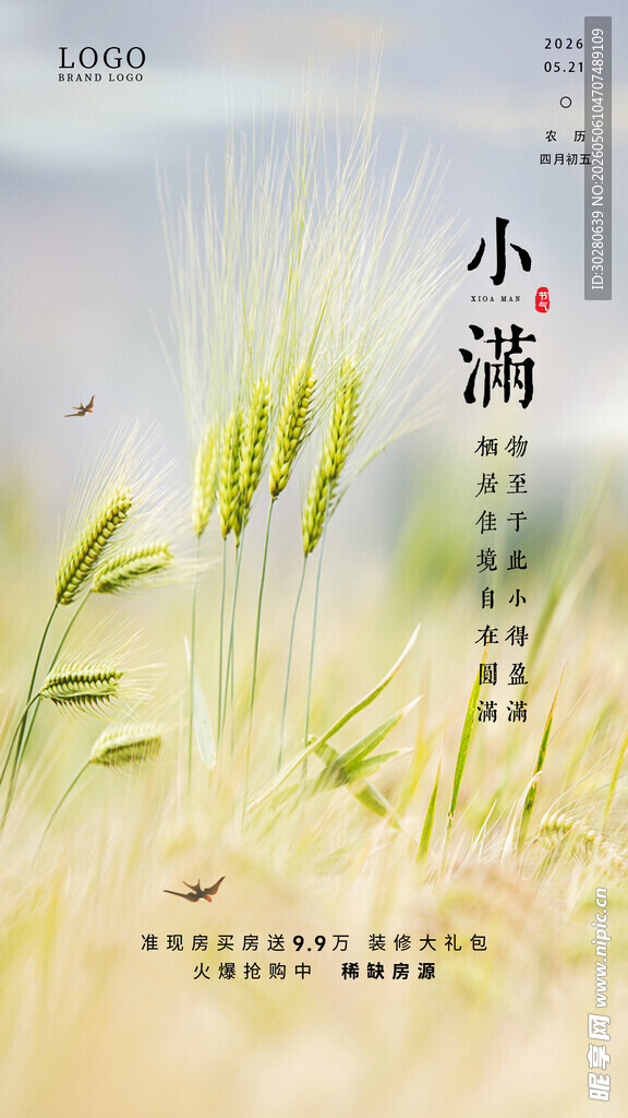 小满 二十四节气       