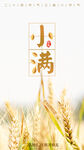 小满 二十四节气       