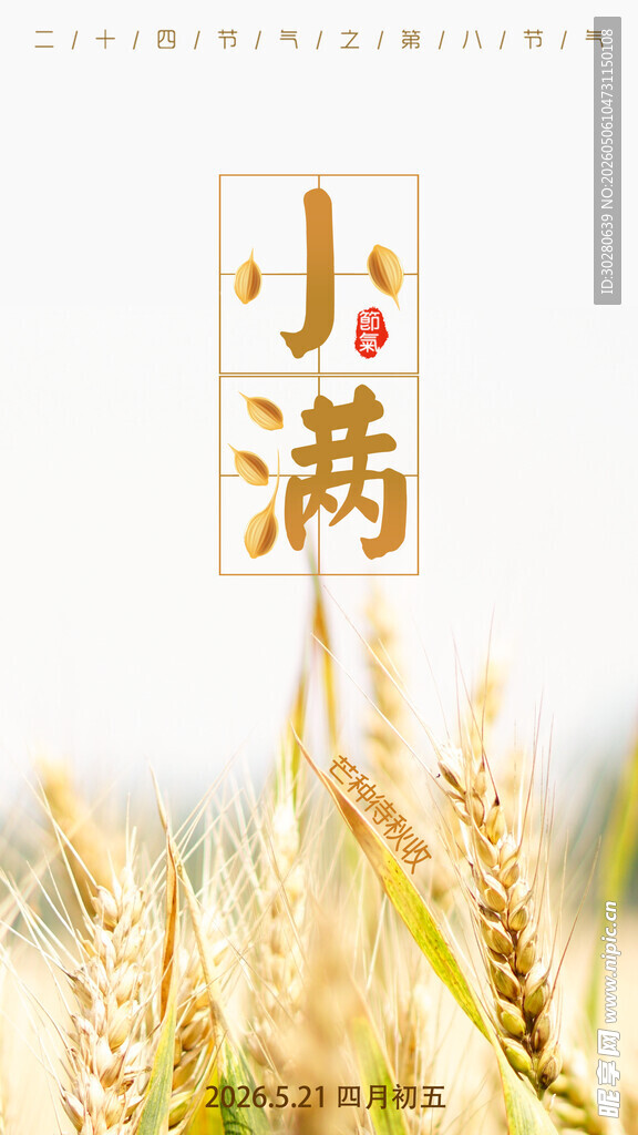 小满 二十四节气       