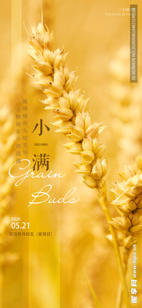 小满 二十四节气       