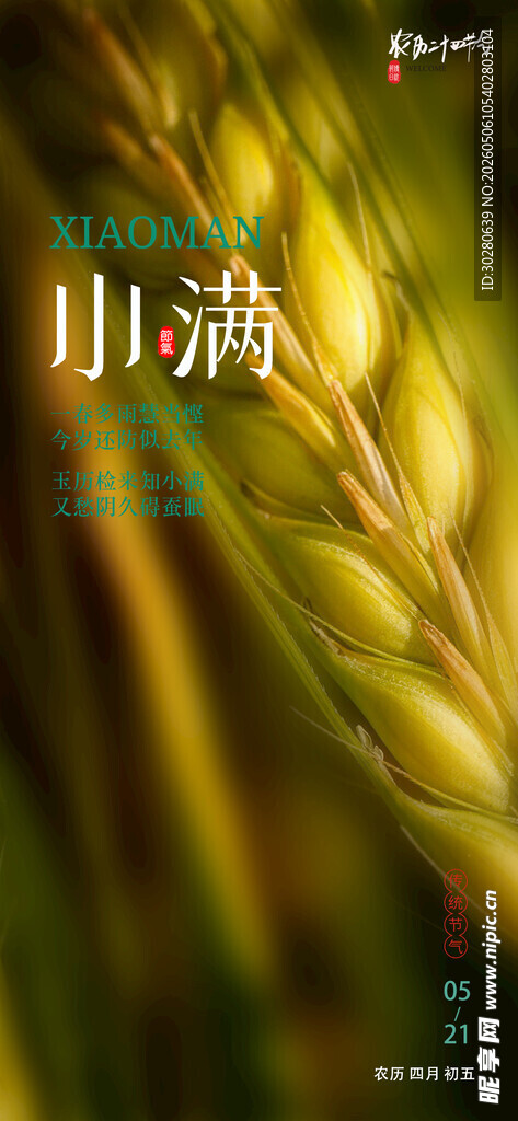小满 二十四节气       