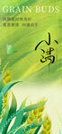 小满 二十四节气       