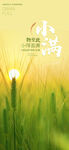 小满 二十四节气       