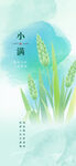 小满 二十四节气       