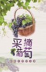 田园风葡萄采摘篮插画