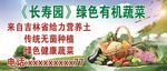绿色有机蔬菜