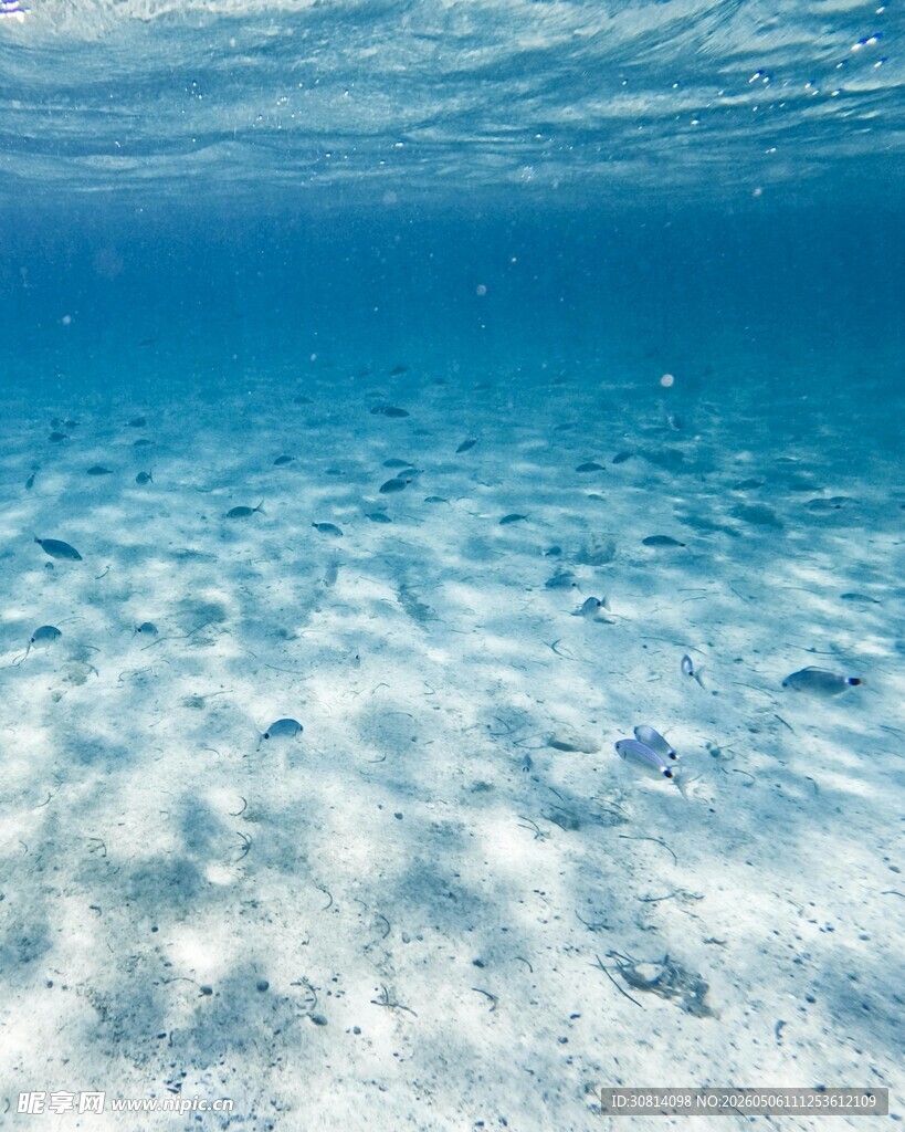 清澈海底美景