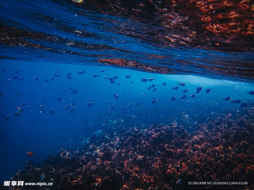 梦幻海底世界景观