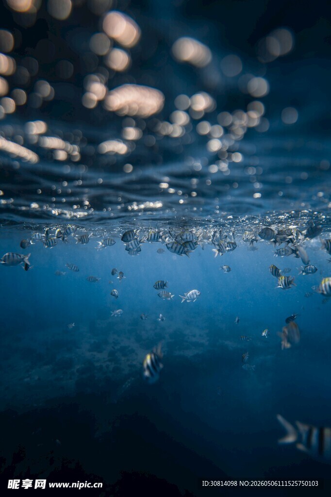 水下气泡的梦幻光影世界