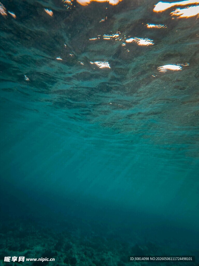 海底梦幻景象