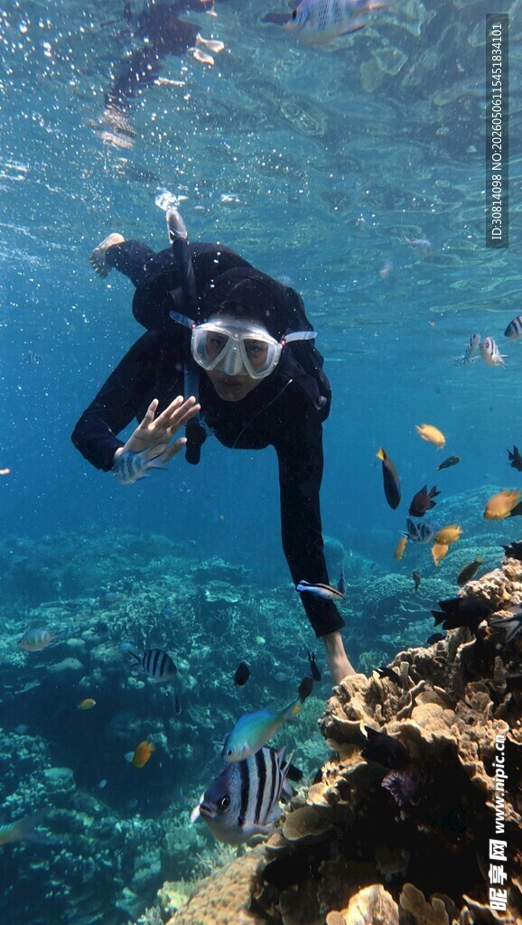 潜水员海底探索美丽珊瑚