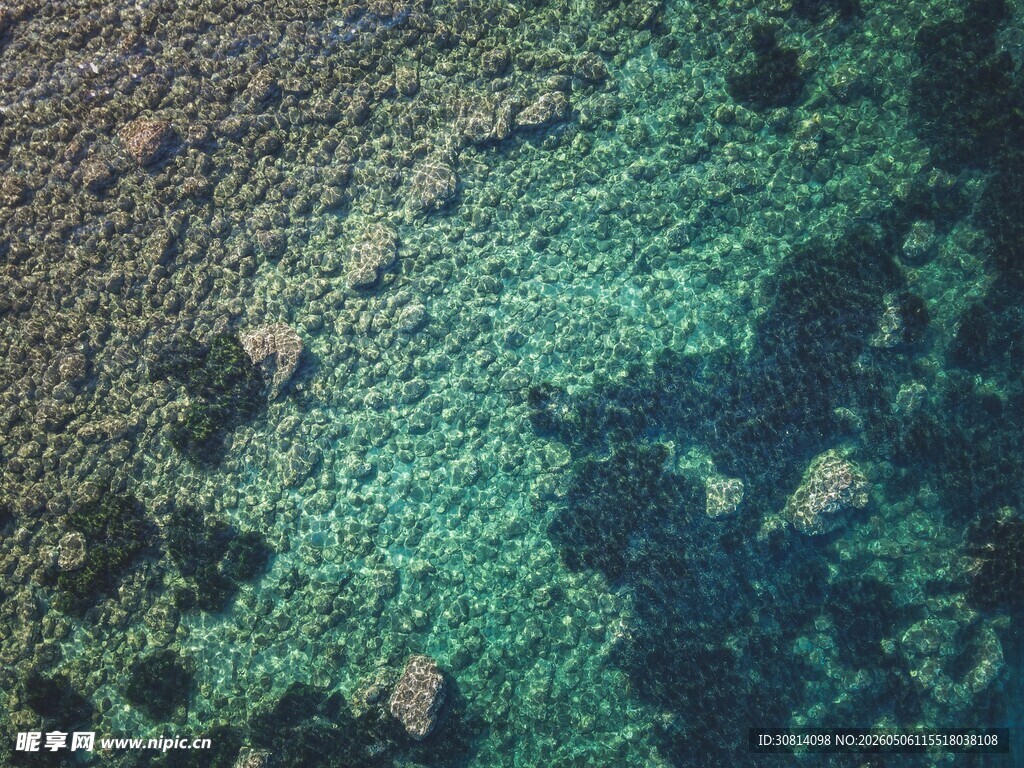 海底斑斓珊瑚景观