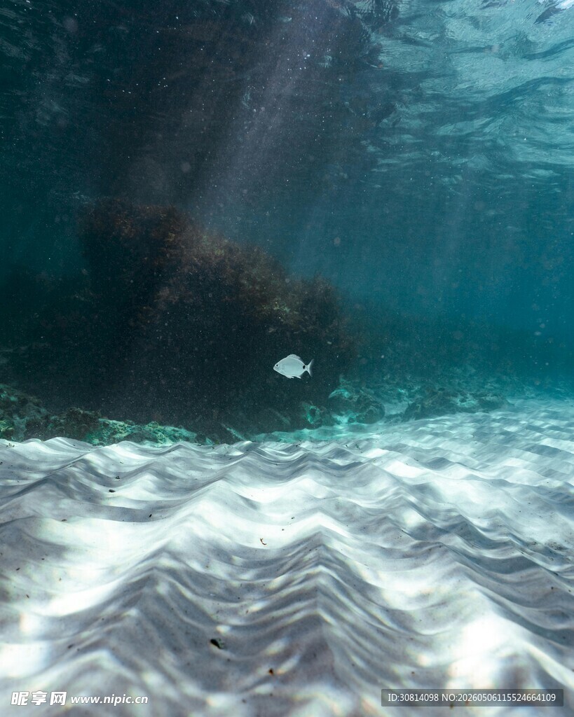 海底光影下的海浪与游鱼