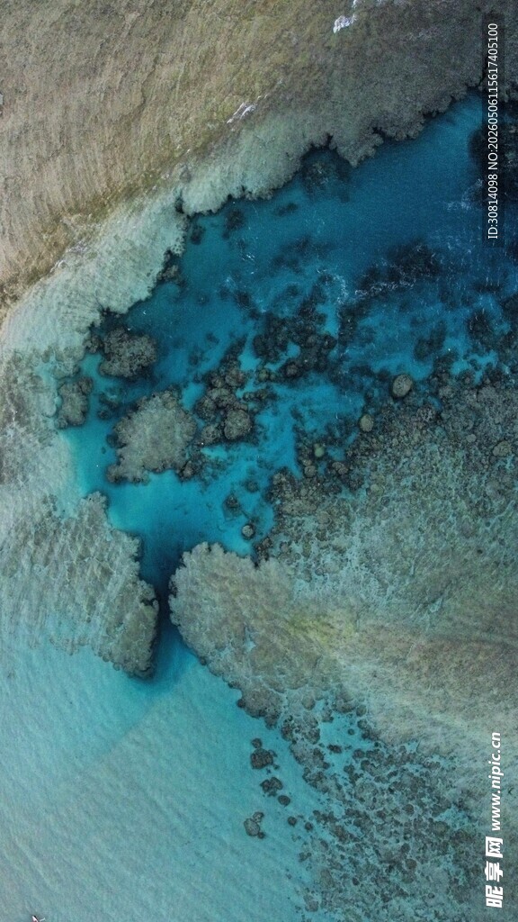 美丽海底珊瑚景观