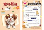 宠物简历模板