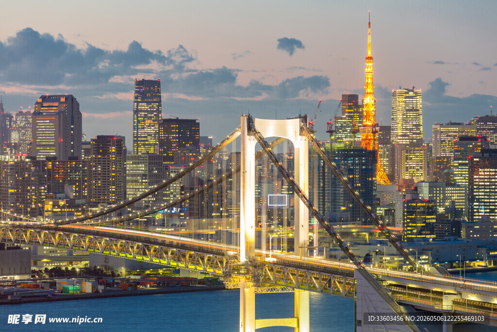东京城市桥梁夜景风光