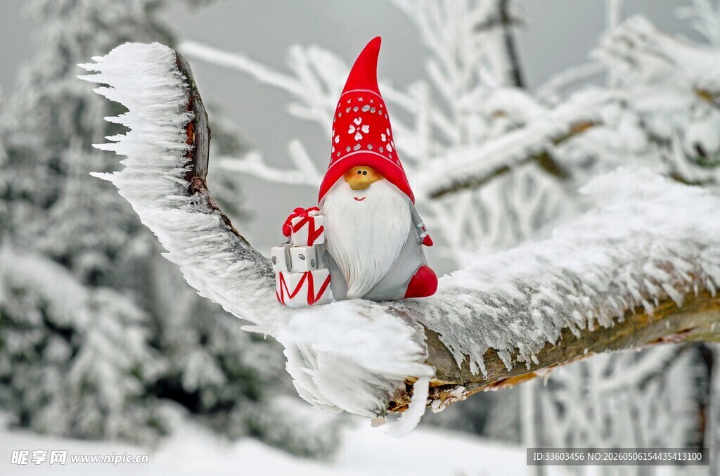 雪枝上的圣诞小矮人玩偶