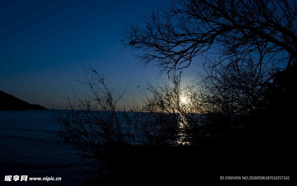 夜幕湖畔树影与落日余辉