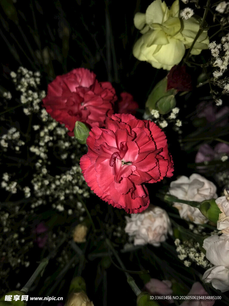 娇艳红玫瑰与白色小花
