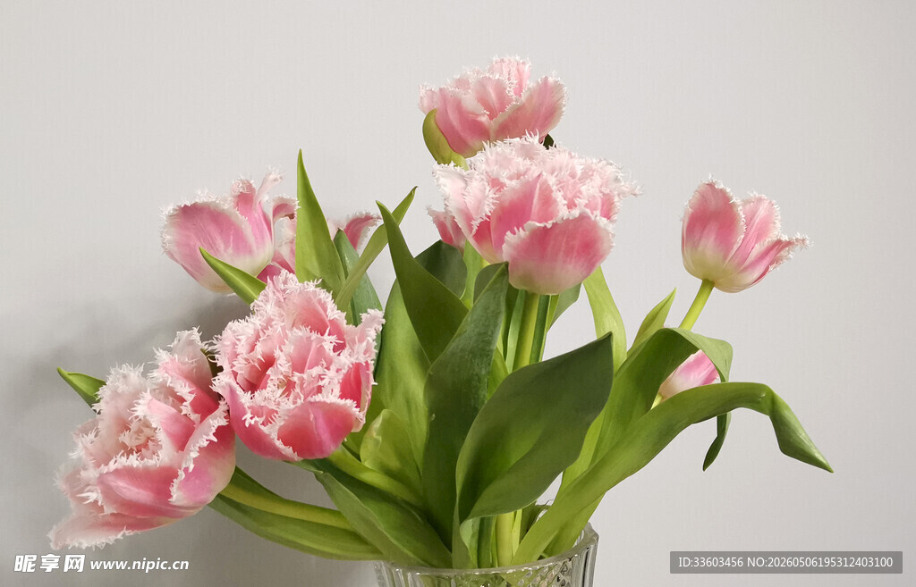 粉色郁金香花瓶插花