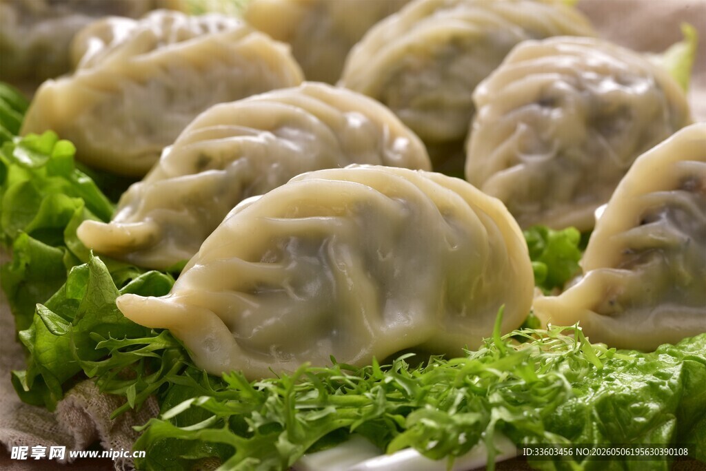 美味饺子配新鲜生菜